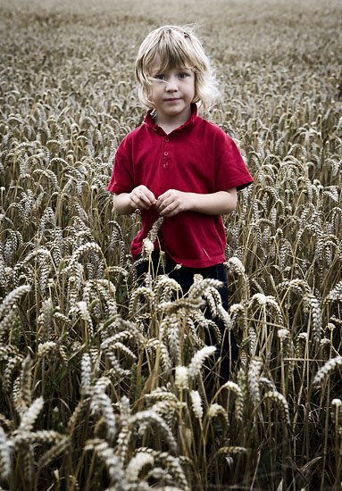 children of the corn