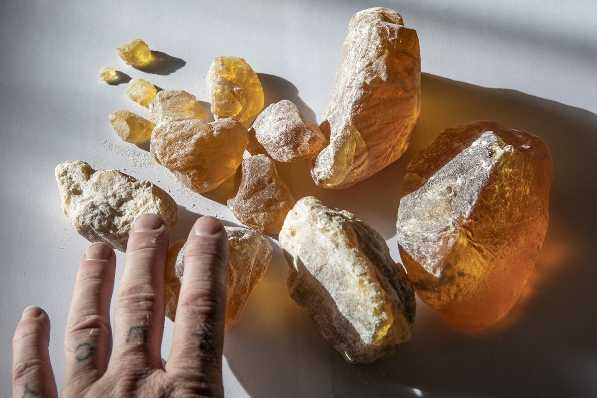 copal, honest guv