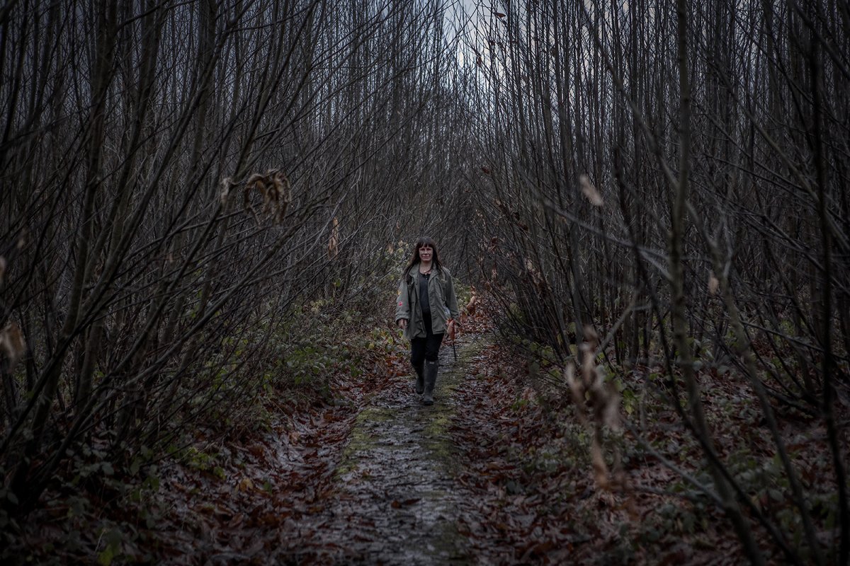 see into the trees