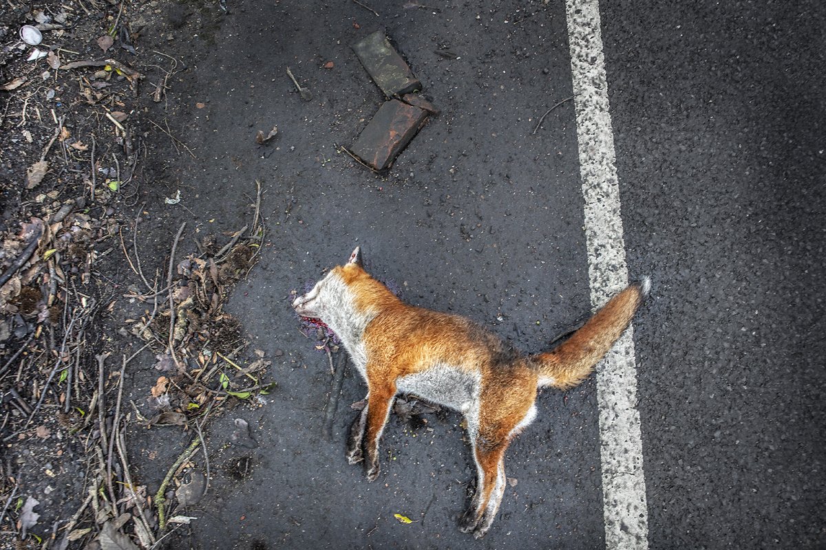 i want to take you home, i won't do you no harm