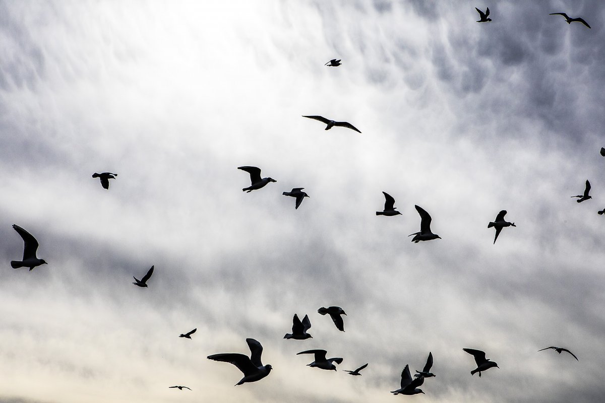 another out-of-season-seaside photo safari