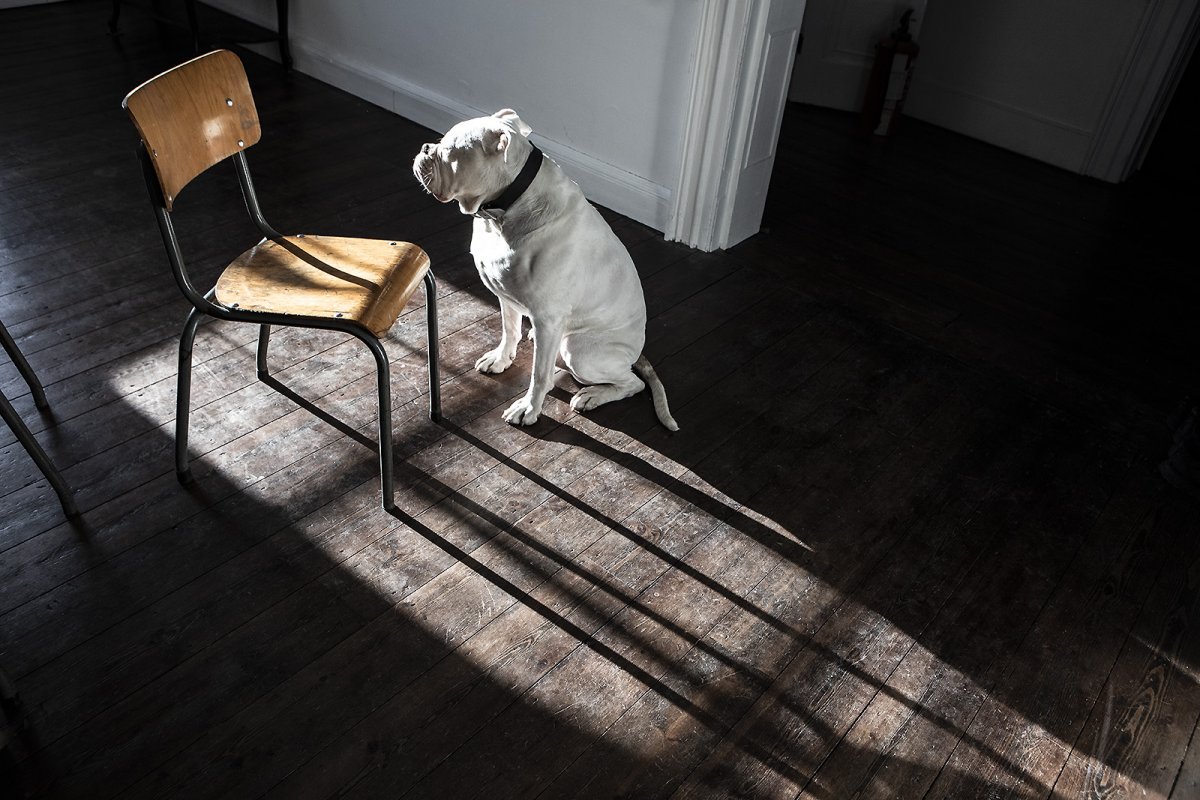 conversations with a chair