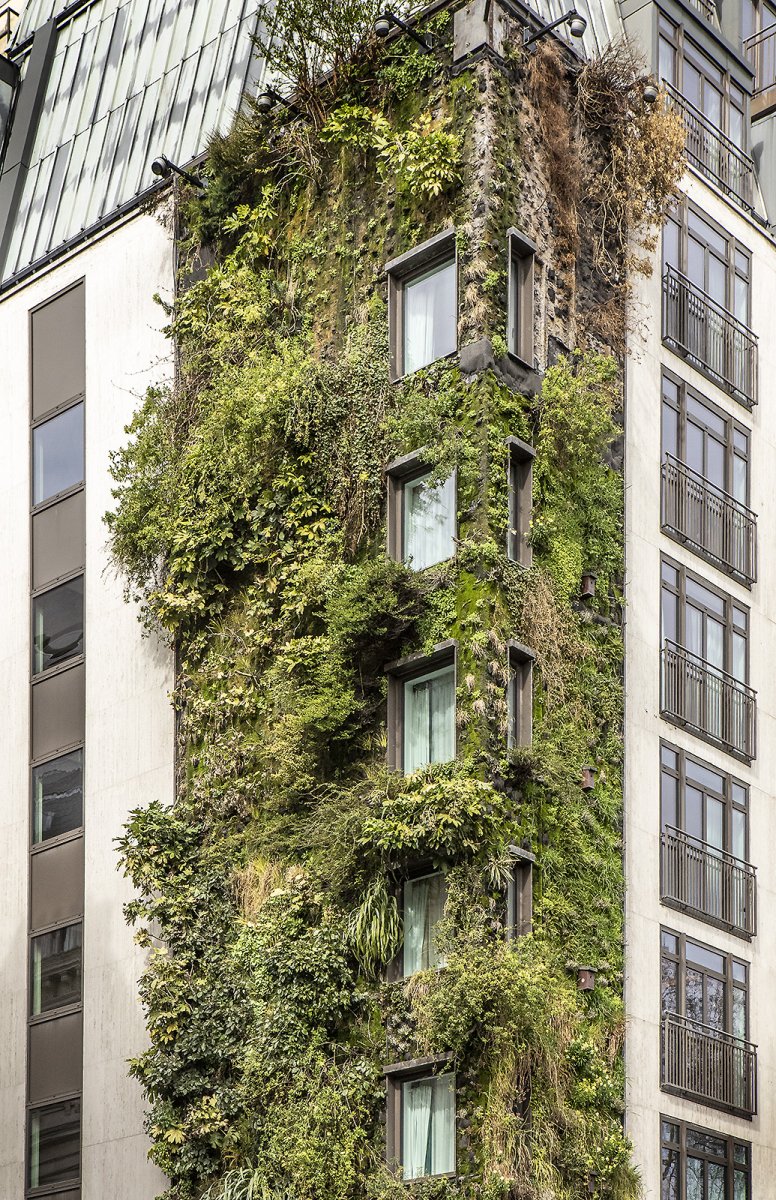 got myself a crying talking sleeping walking...