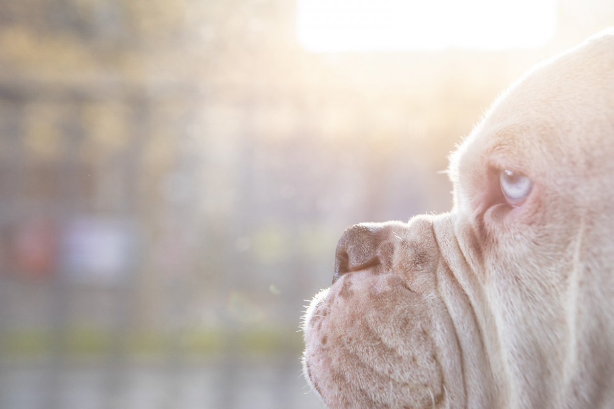 take the kid to work day