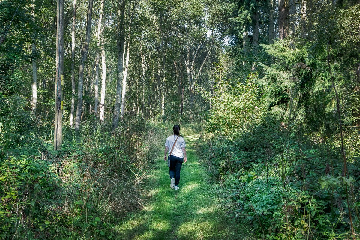 walking in the garden of england