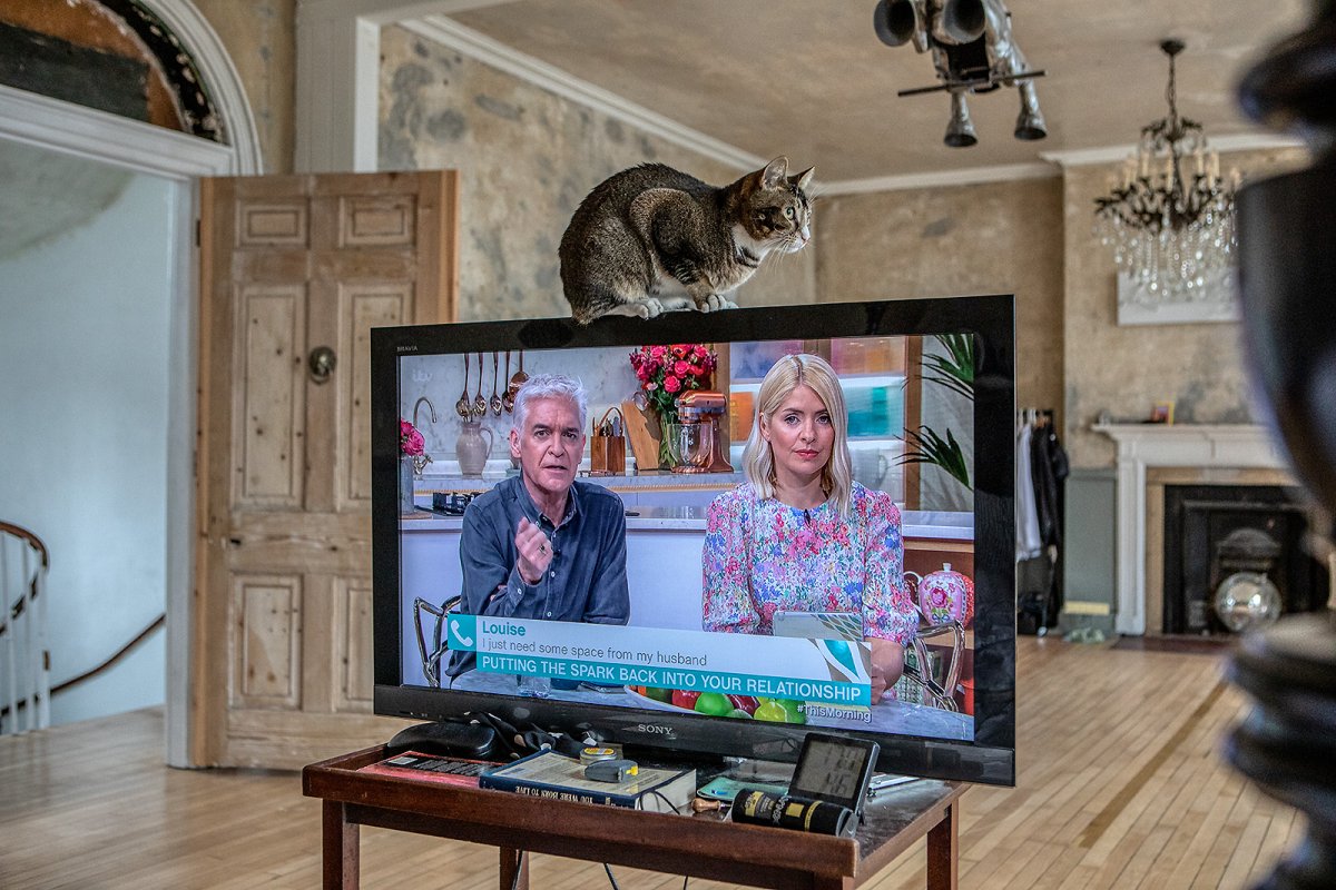 PUTTING THE SPARK BACK INTO YOUR RELATIONSHIP