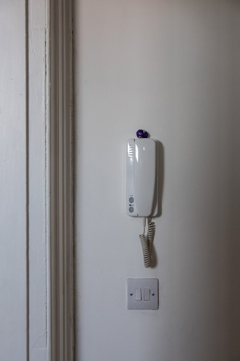 the easter bunny found us...