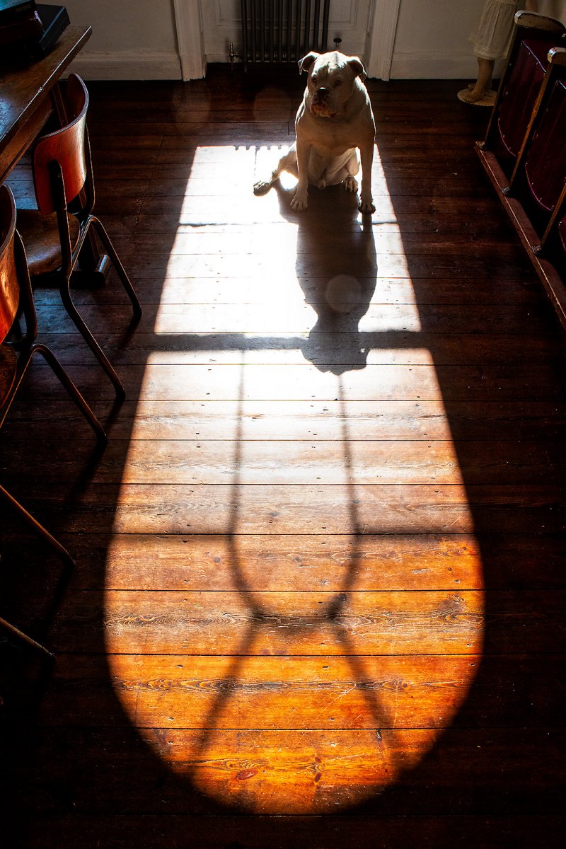through the arched window...