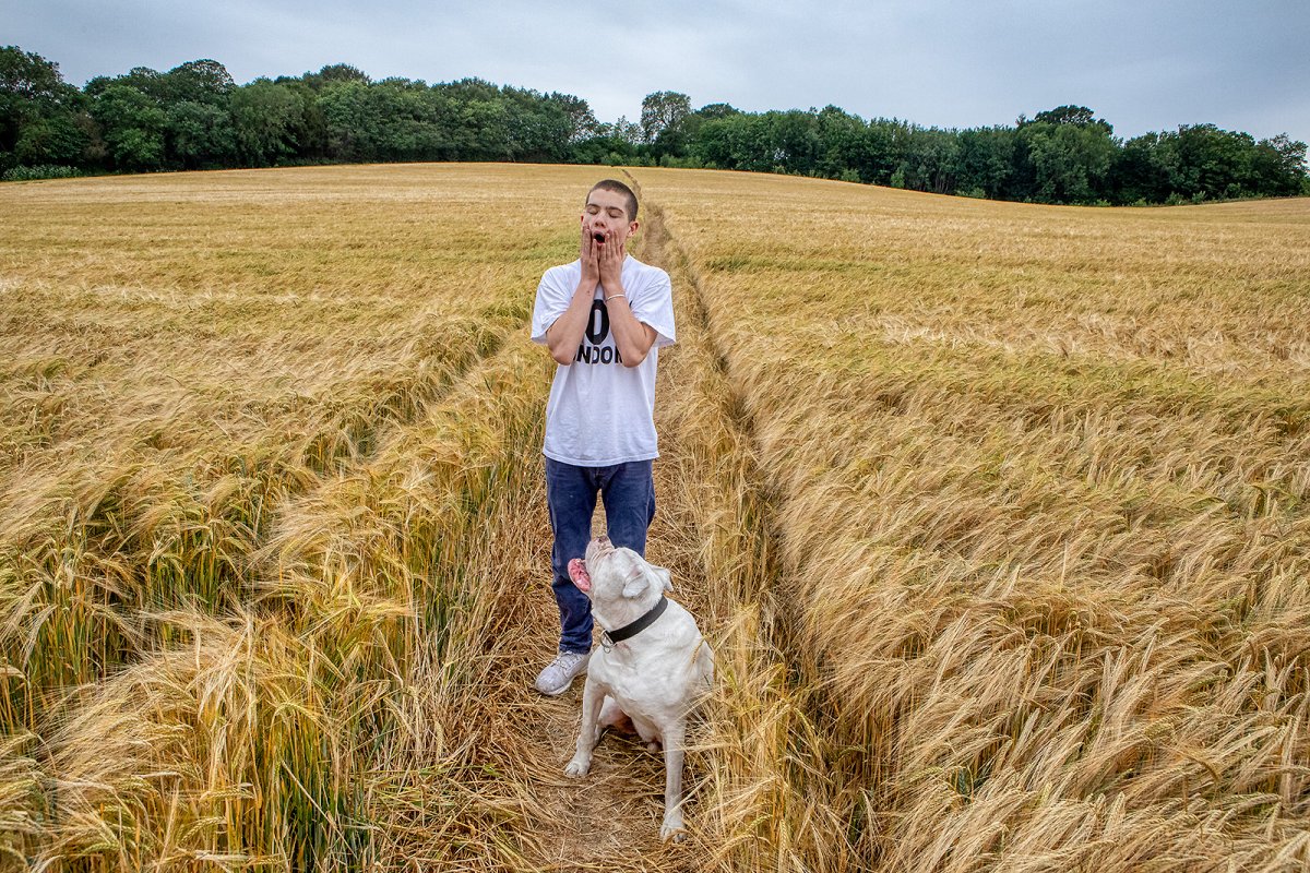 back to reality 2020