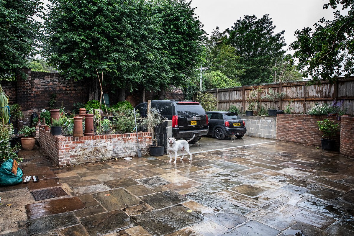 gay rage in the garden