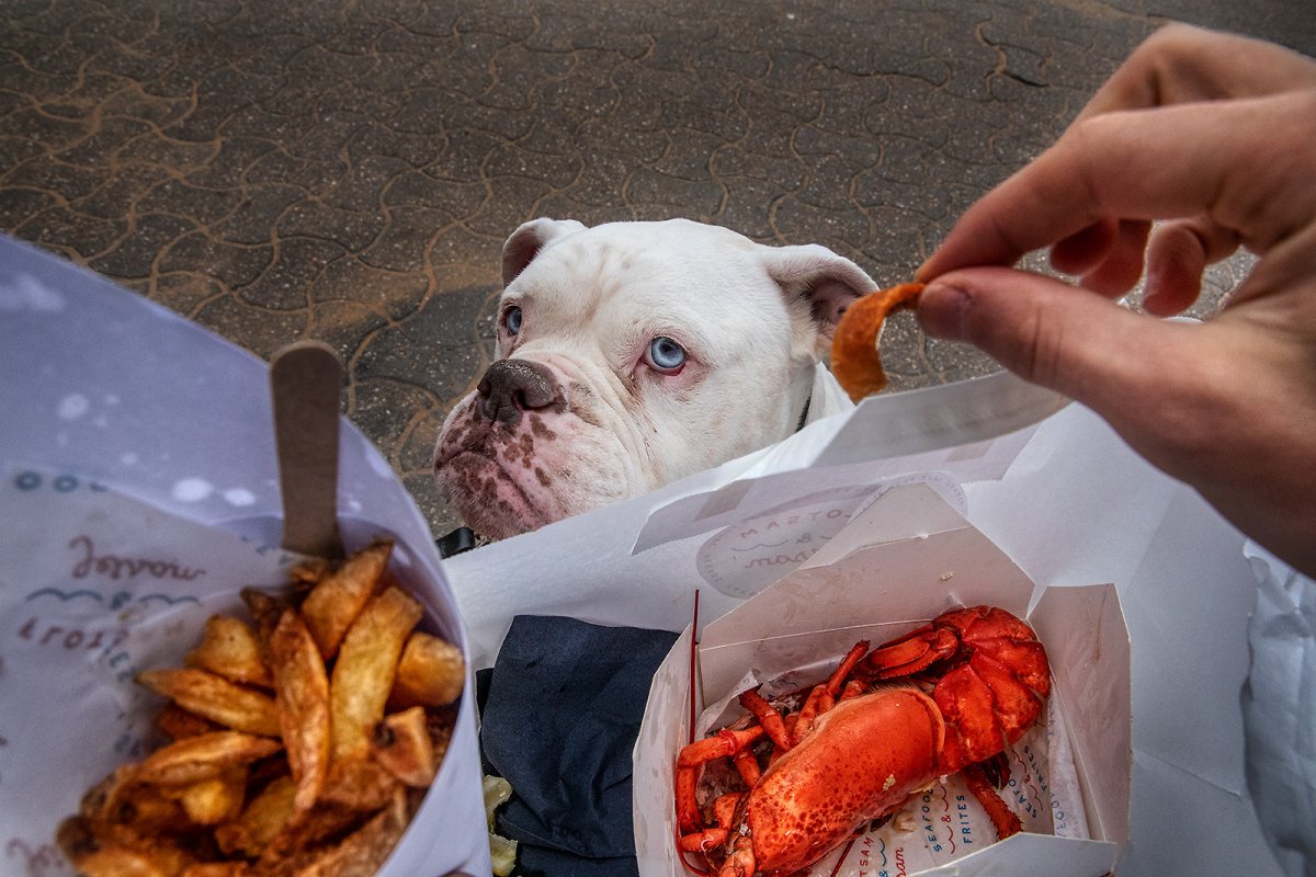 waiting for the flotsam and jetsam