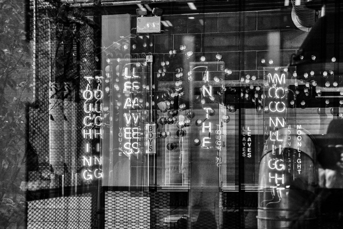 touching leaves in the moonlight