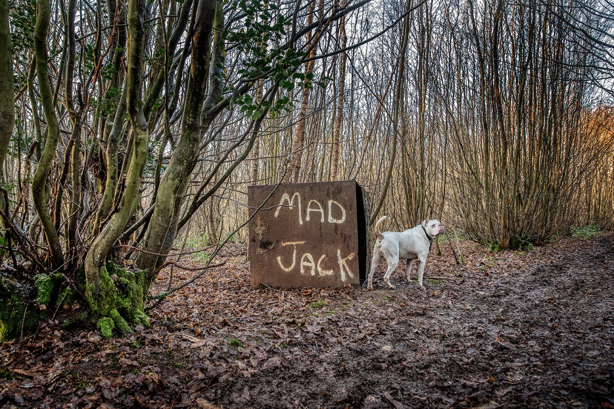 MAD JACK