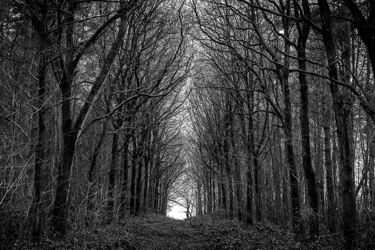 sleepy hollow