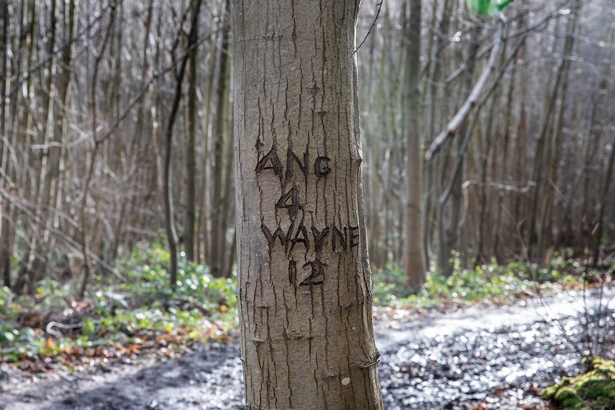 ANG 4 WAYNE 12