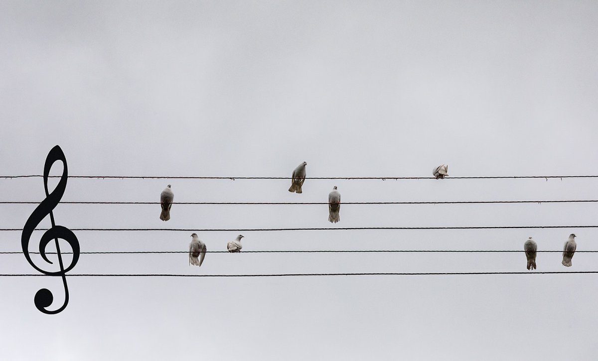 name that tune in...