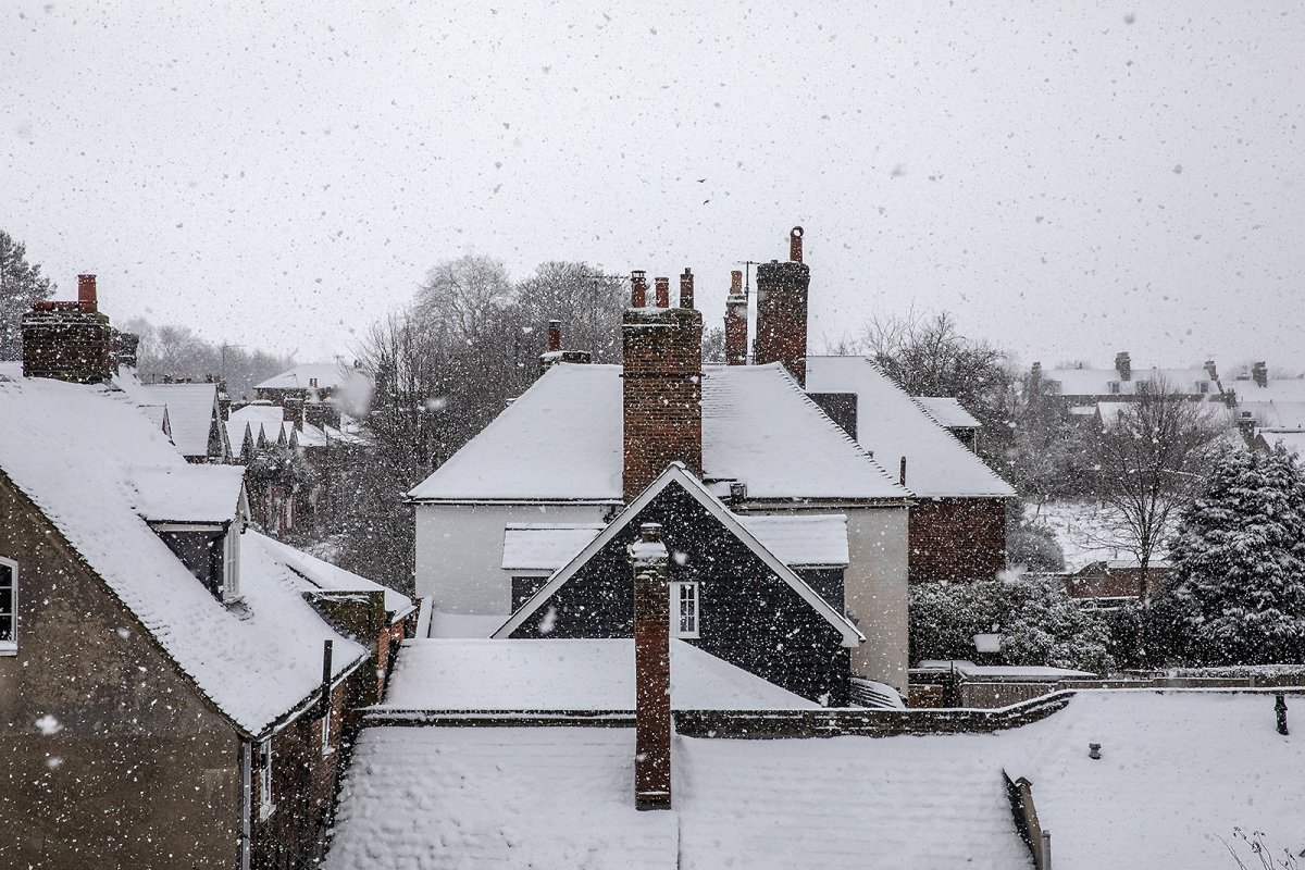 out of z's OTHER window