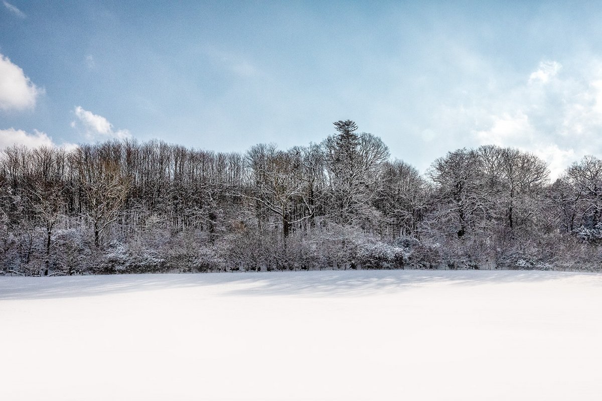 SNOW BUSINESS