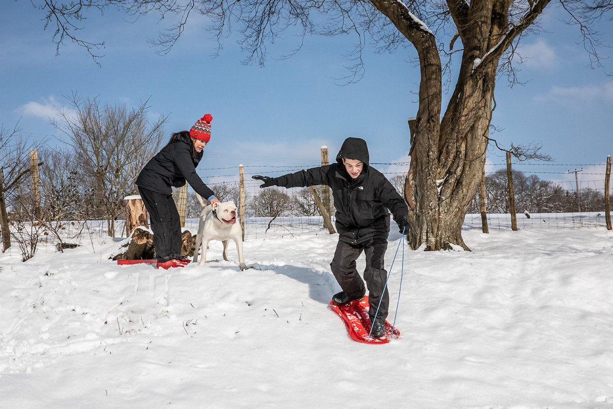 z demonstrating new techniques in sledging