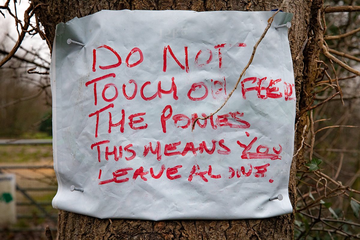 THIS MEANS YOU