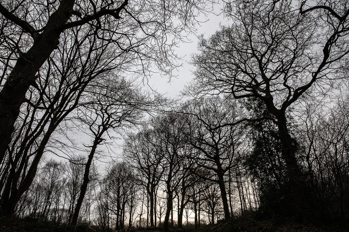 woodland walk bumper pack