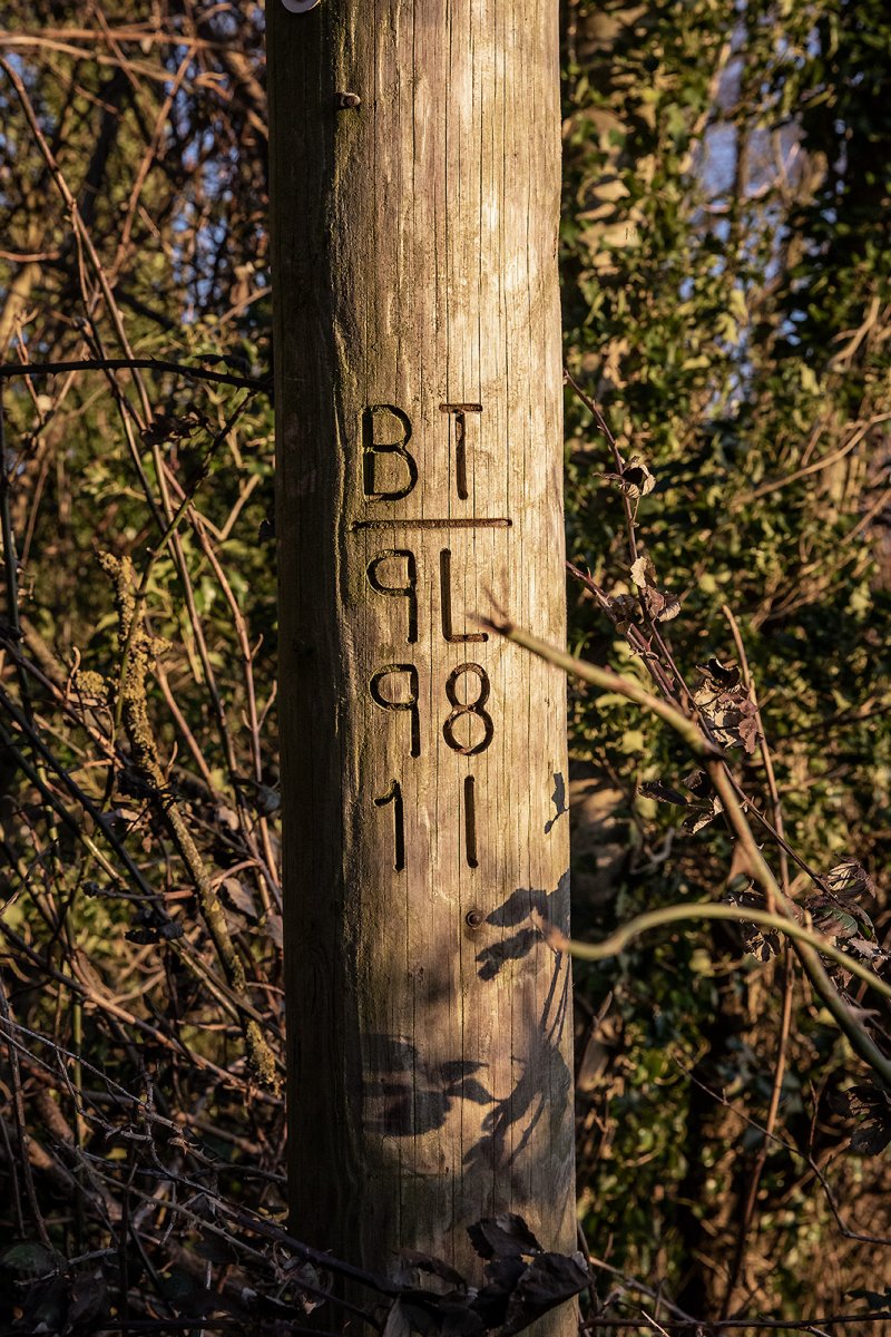 BT9L981l