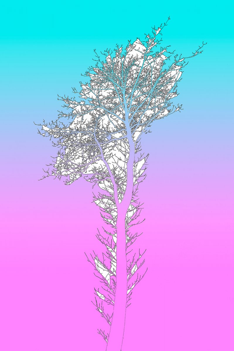 tree three way (oo-er)