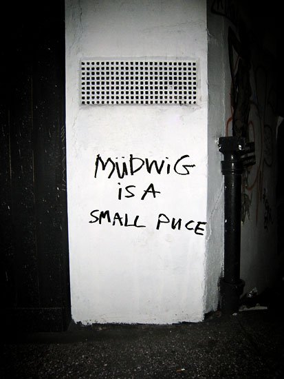 müdwig is a small puce