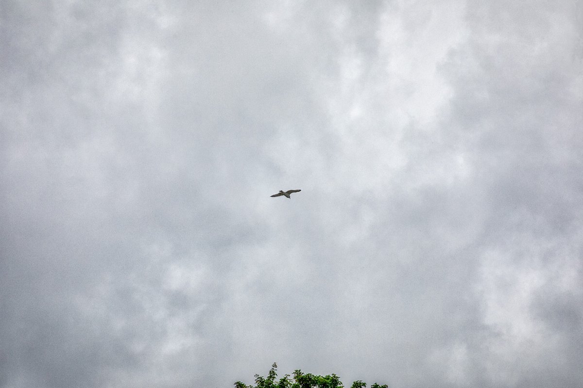 there's nothing like an English summer