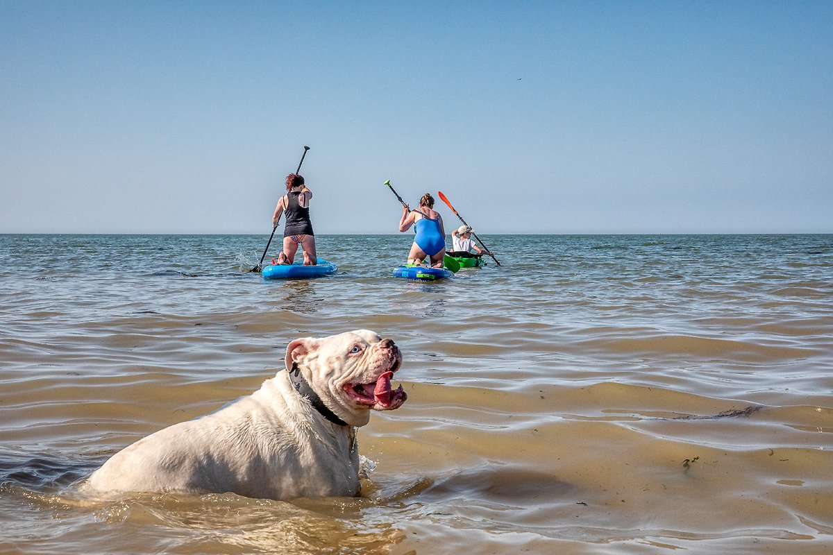 photo bummers blocking our photoshoot