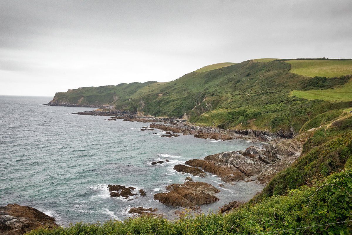 we swim with the fishes, here