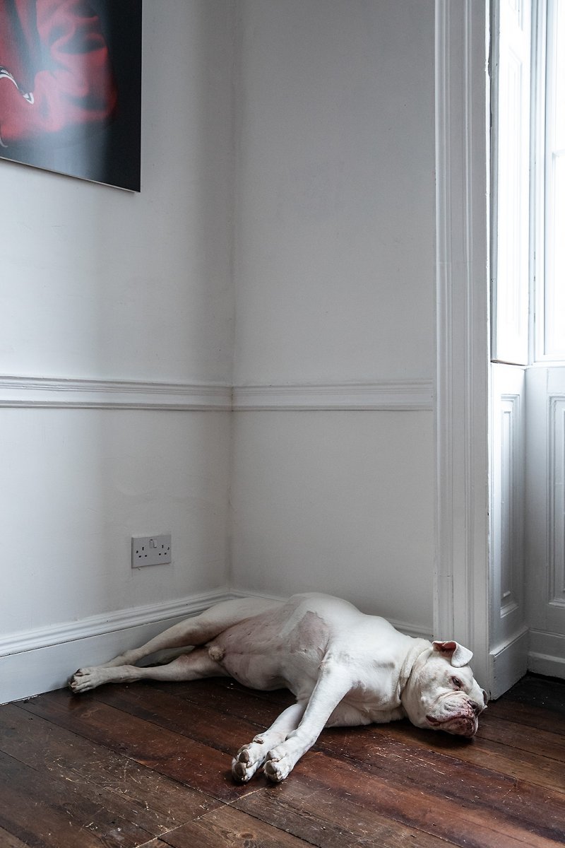 no-one puts baby in the corner