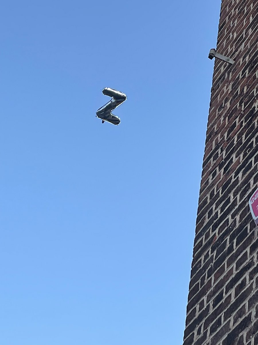 fly free zebedee