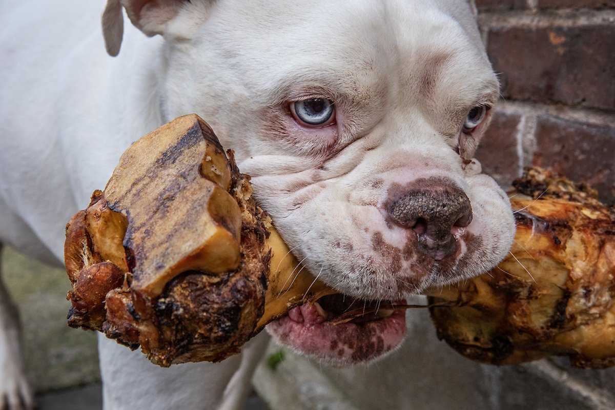 bite me