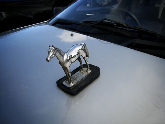 pony