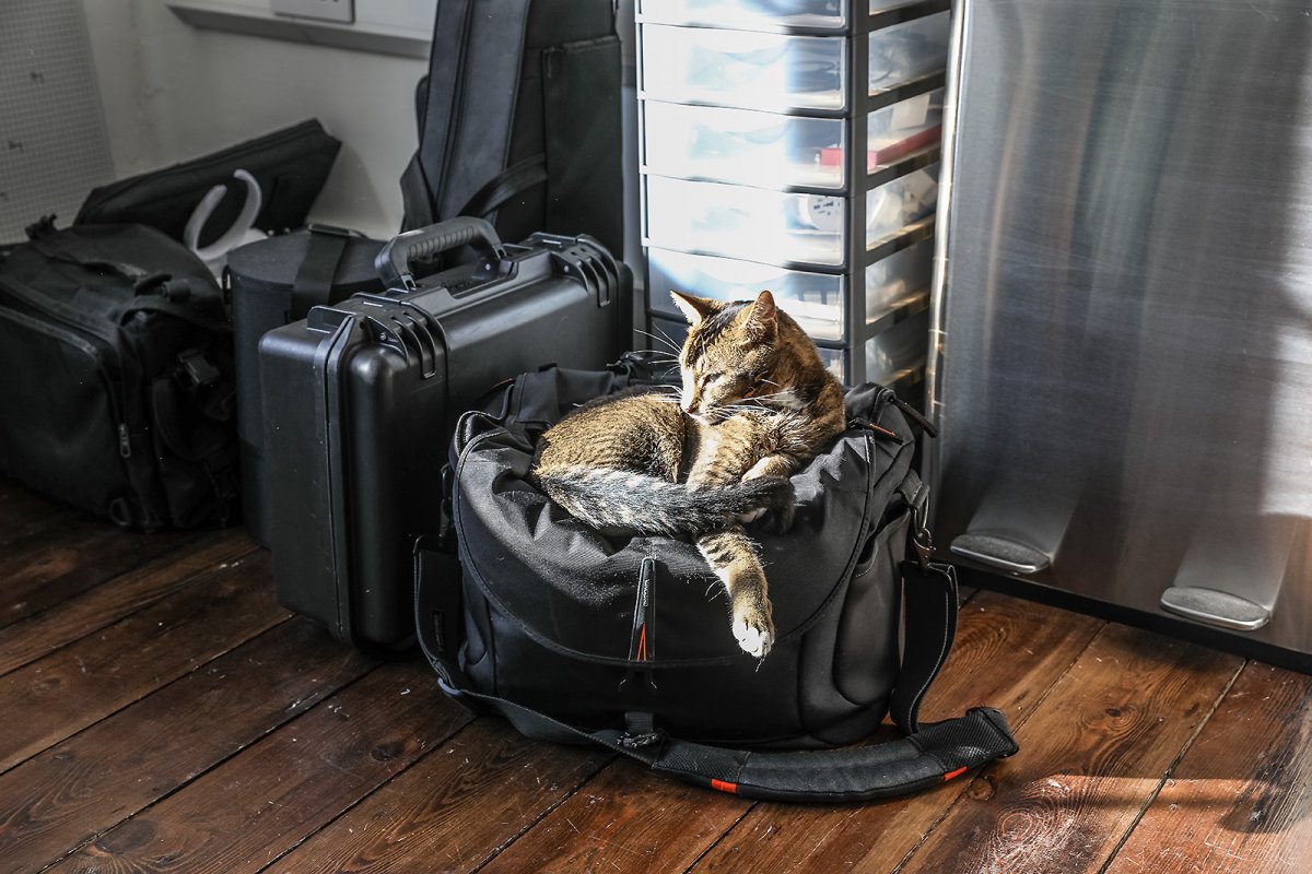 the exhausting life of 9