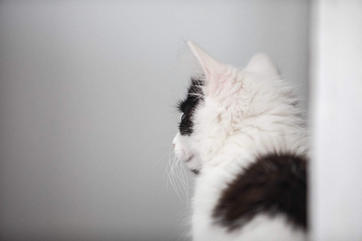 just fluff
