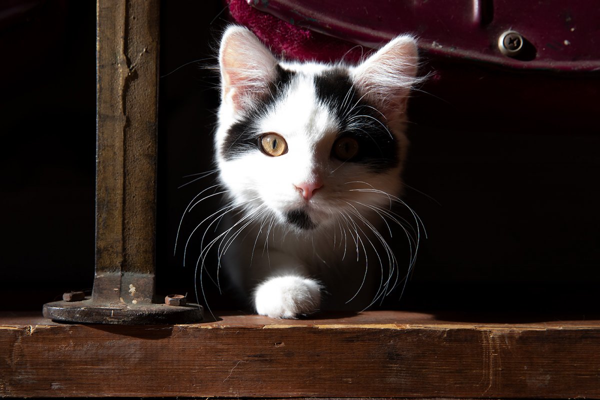 LUNA