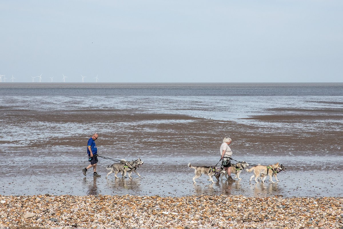 east kent sled team