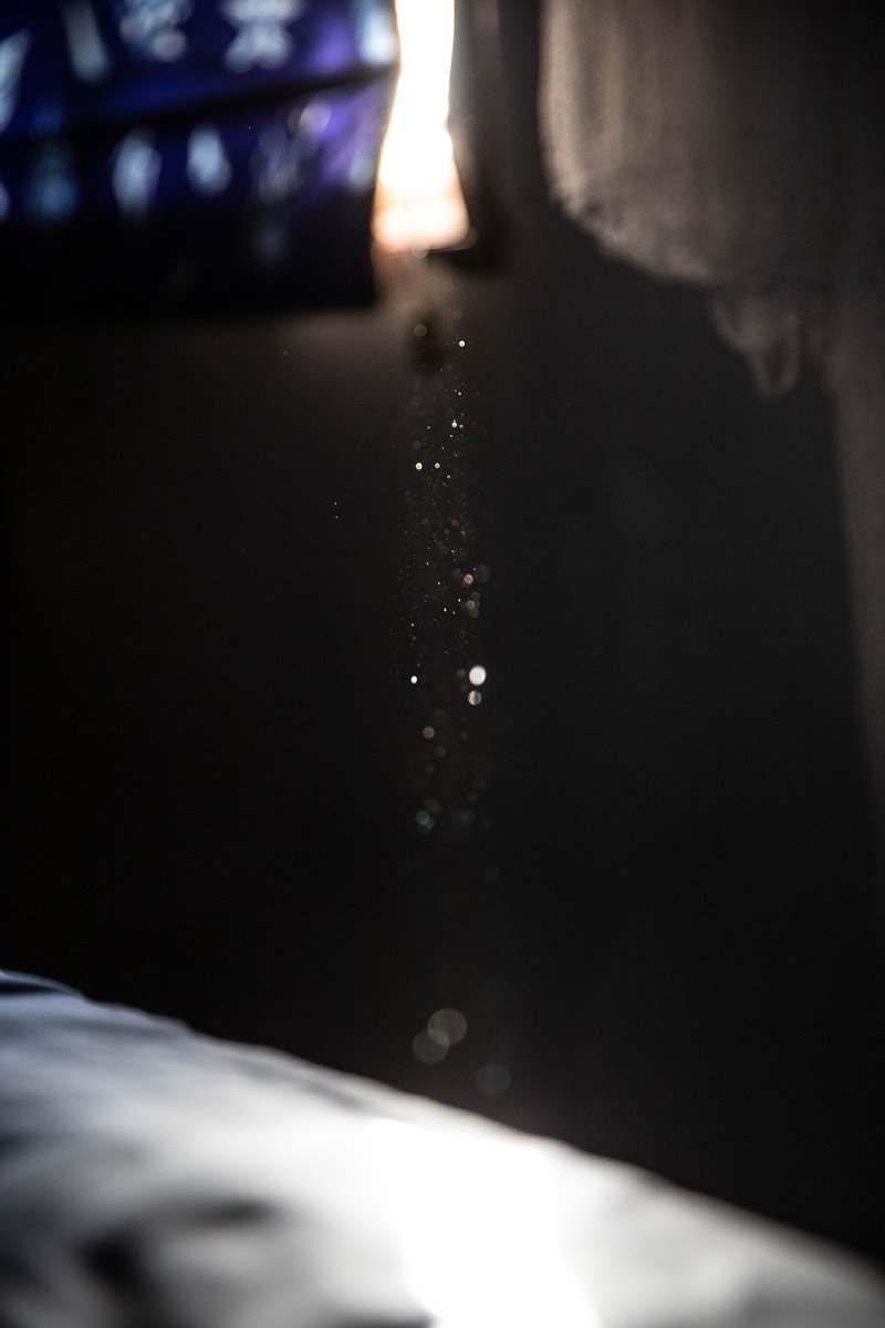 dusted