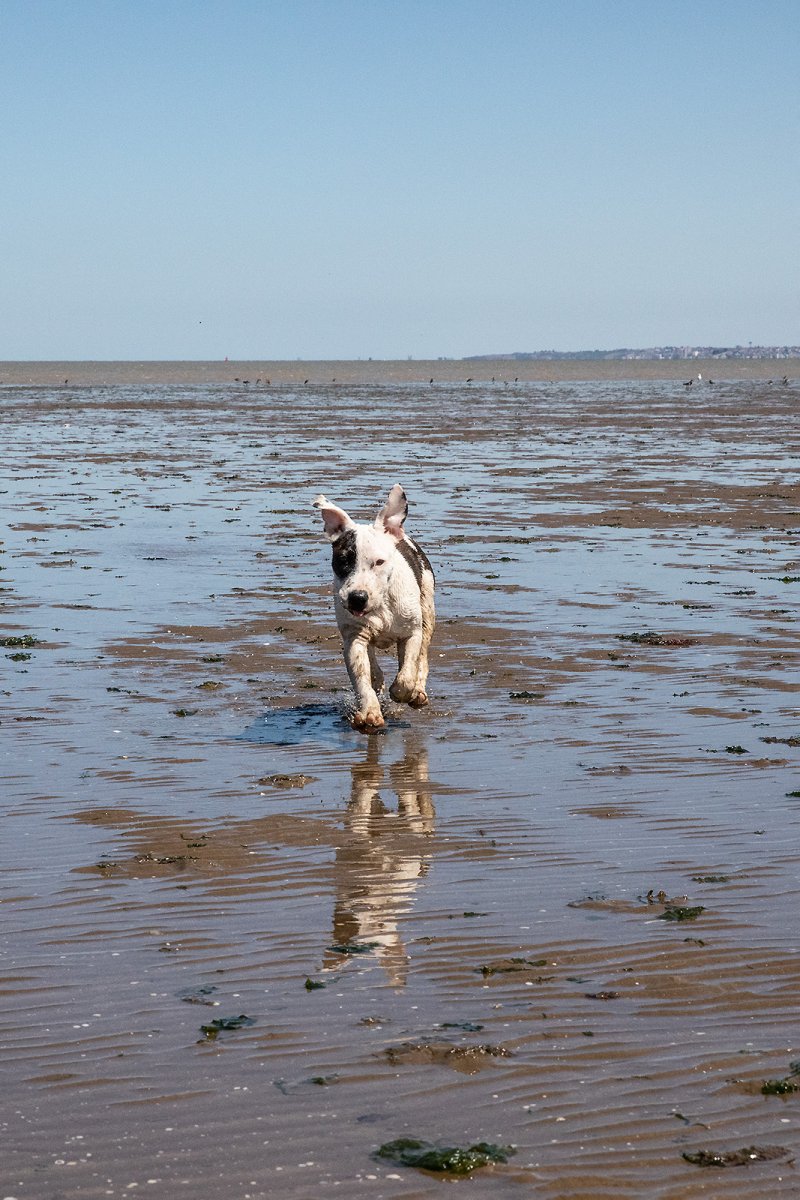 beach baby