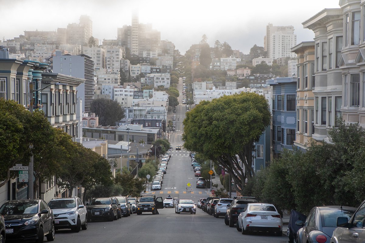 SF MF