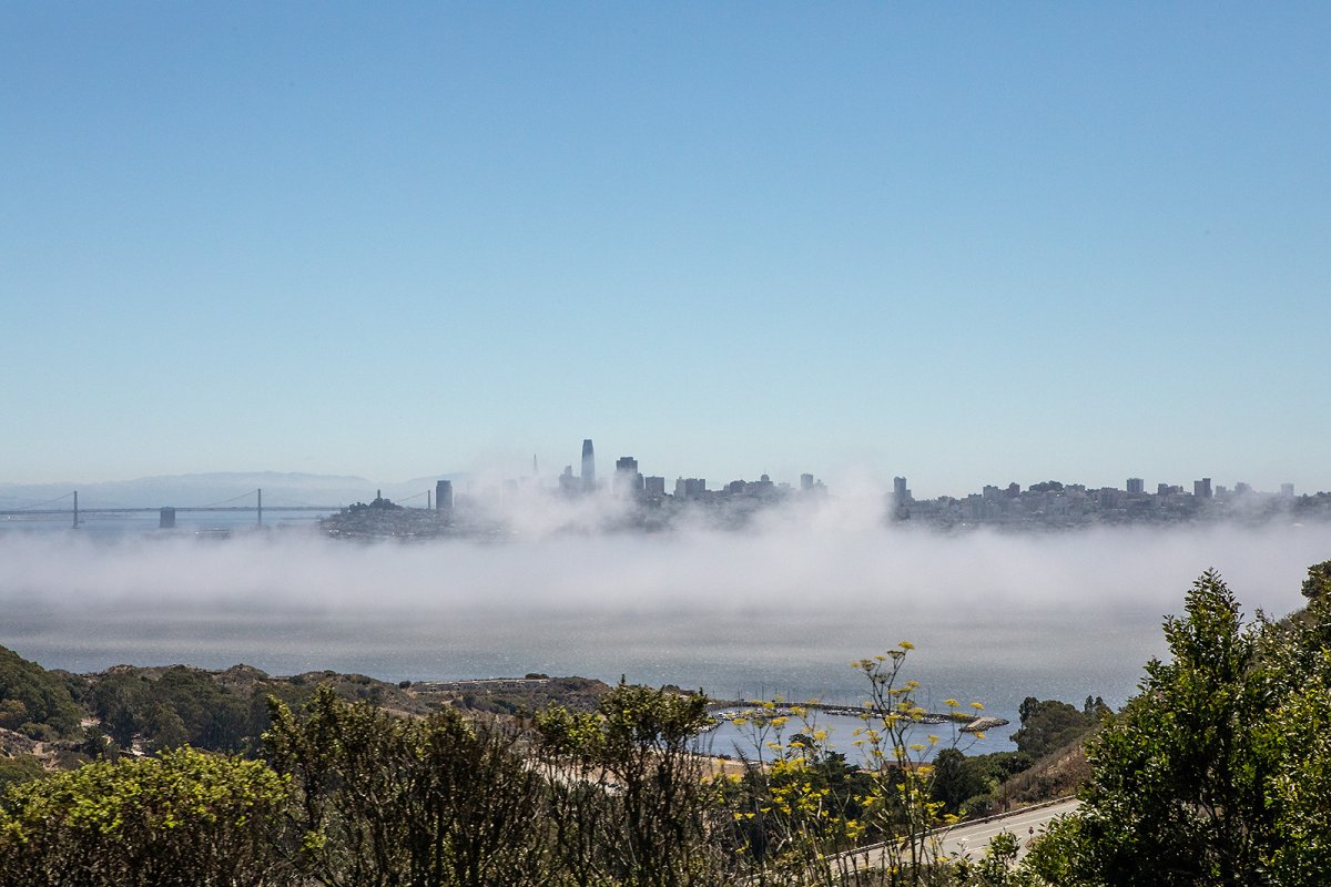 see mist (sic)