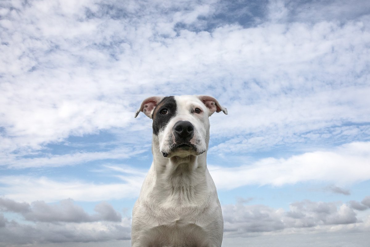 new official state photograph