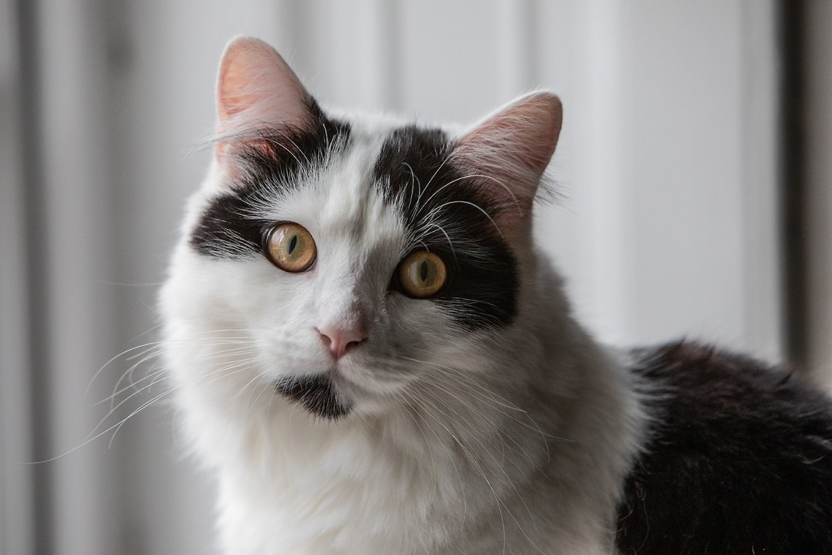  butter wouldnt melt in his mouth