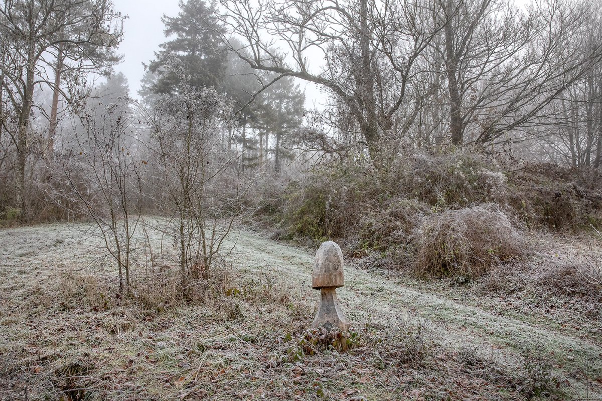 magic mushroom (singular)