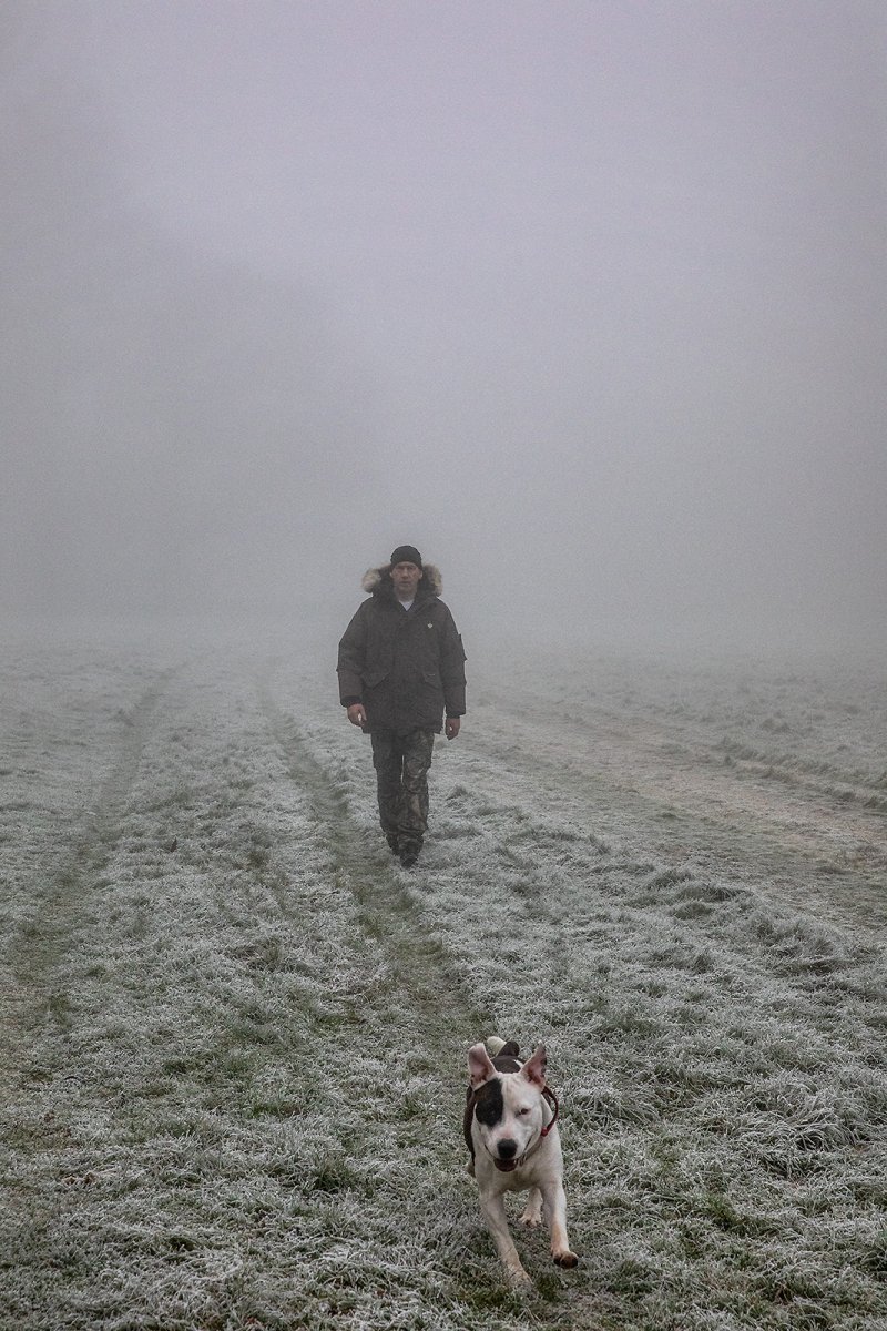 crispy cat walk, with the dog