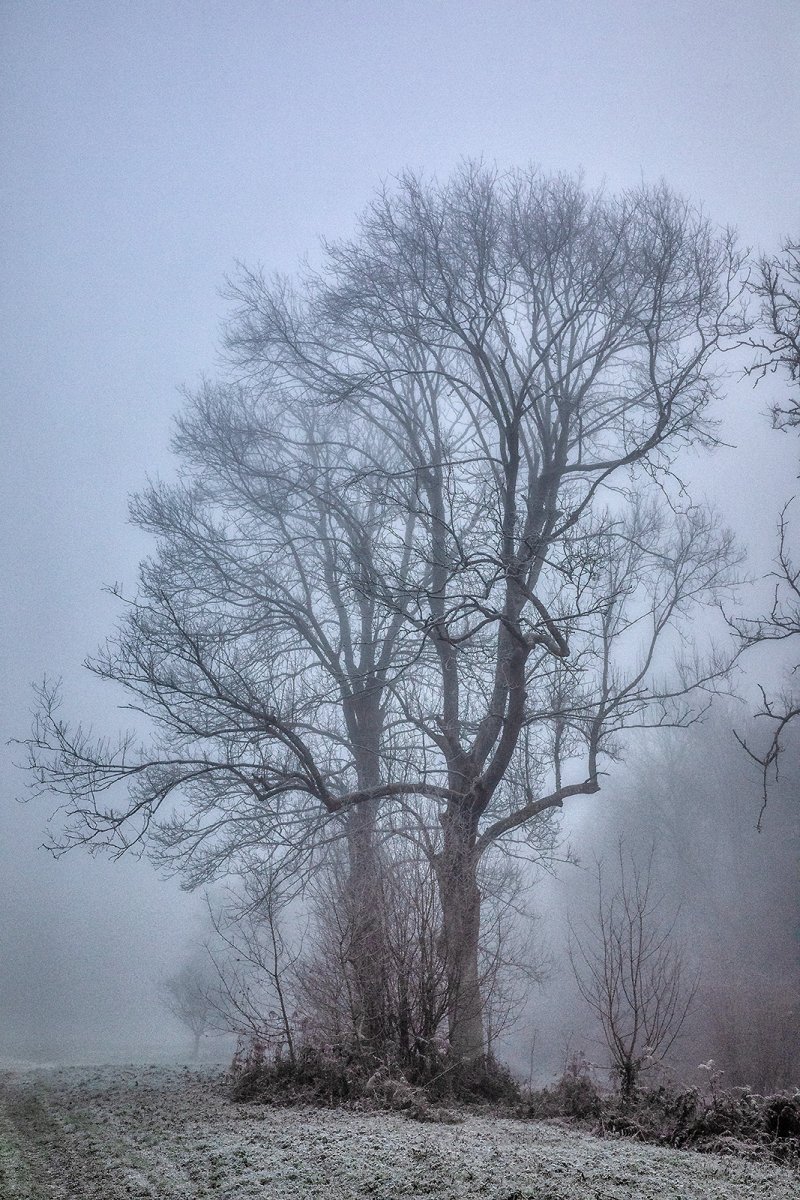 baby its cold outside