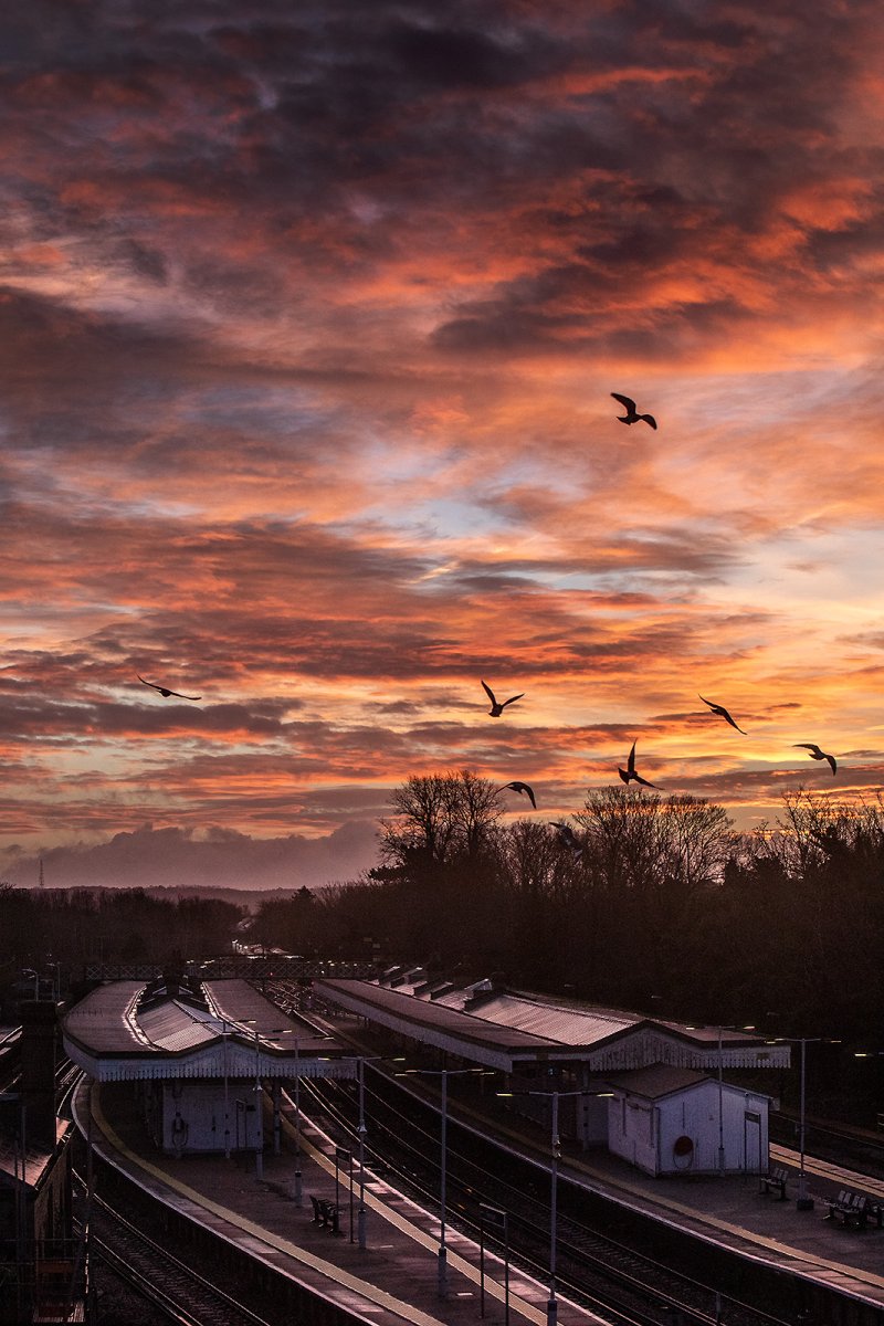 red sky in the morning...