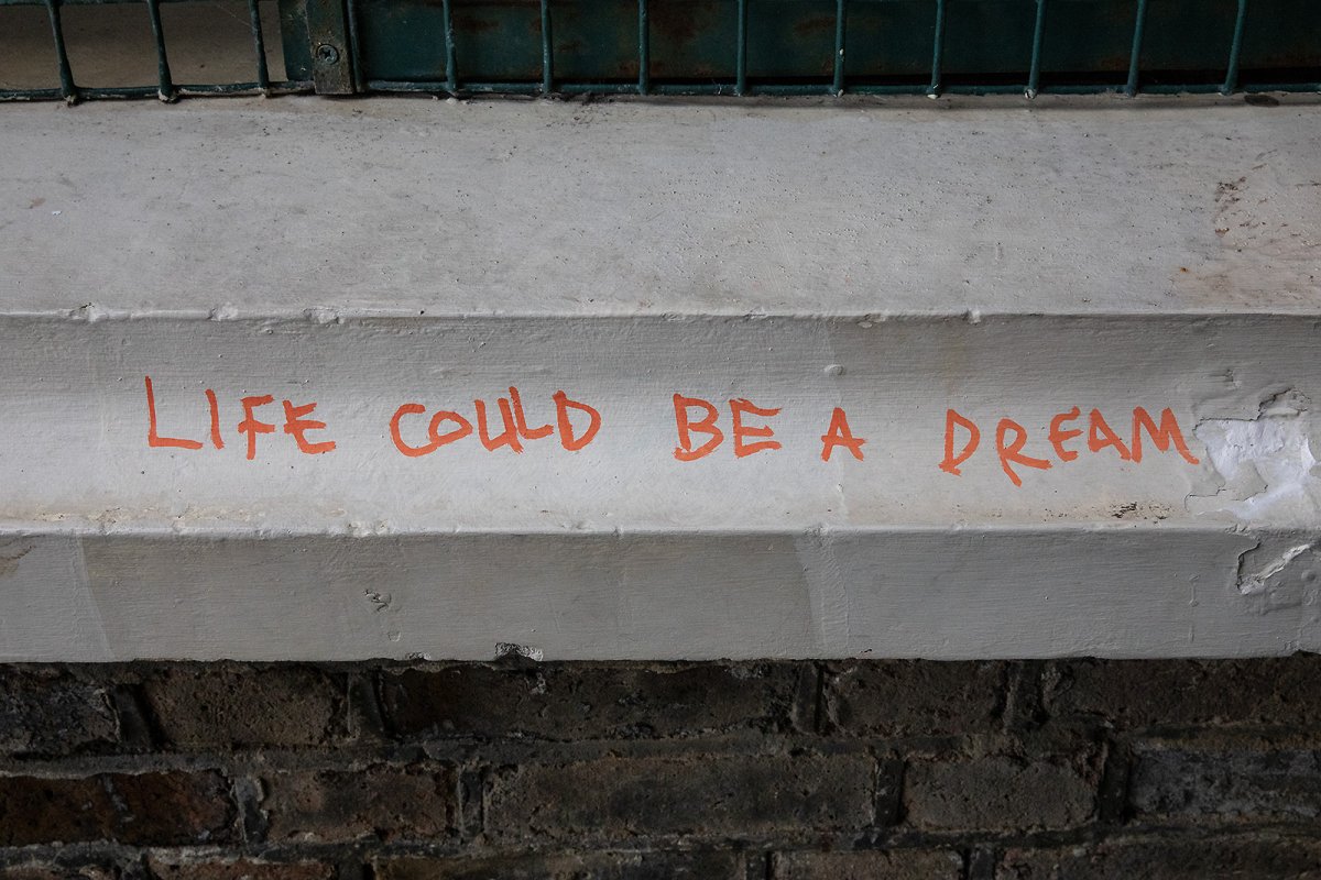 my dreams are quite life-like